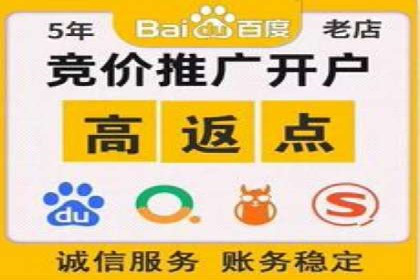 实战案例：SEM优化助力品牌知名度提升